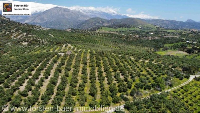 Agia Galini Kreta, Ag. Galini Olivenhain 130.000 m². Grundstück kaufen